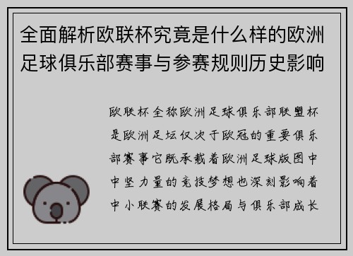 全面解析欧联杯究竟是什么样的欧洲足球俱乐部赛事与参赛规则历史影响